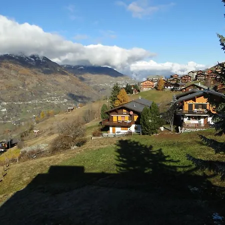 Bellevue Hotel Grächen